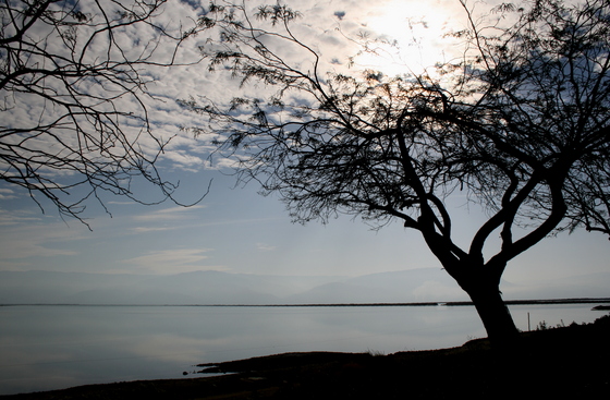 photo "The Dead Sea" tags: landscape, water