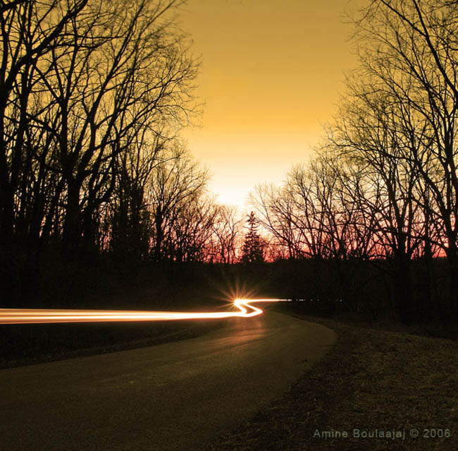 фото "Good evening!" метки: пейзаж, лес