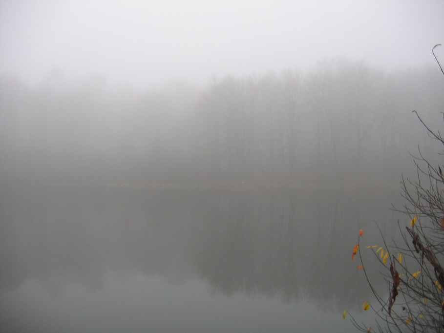 photo "***" tags: landscape, autumn, water