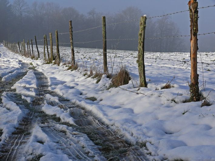 photo "Our only day of snow" tags: landscape, nature, winter