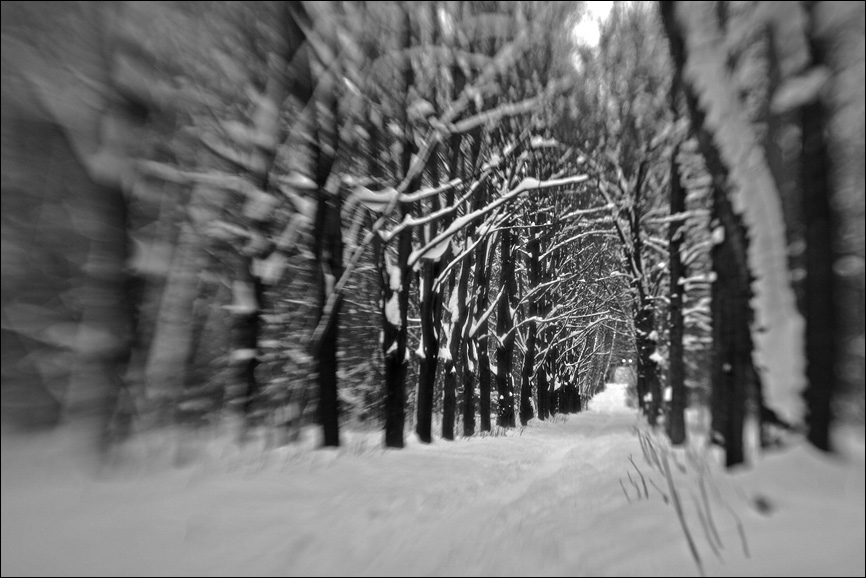 photo "***" tags: landscape, forest, winter