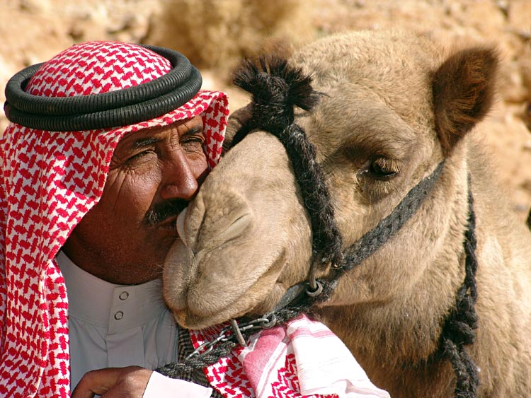 фото "The kiss: Salim is kissing his camel Shaylan, Wadi Humeima, Jordan 2006" метки: путешествия, портрет, Азия