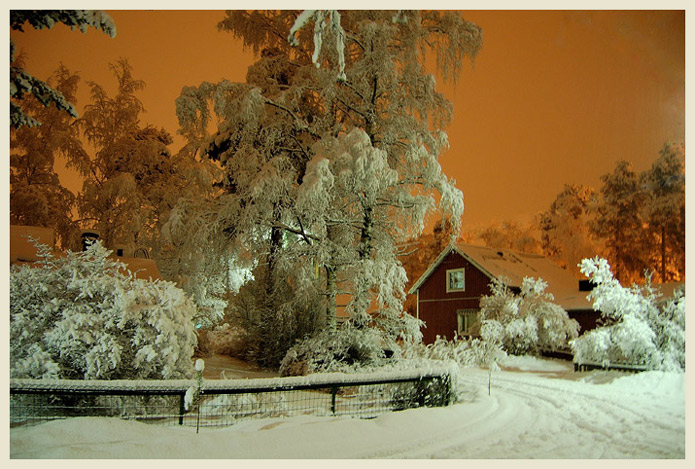 фото "Winter night" метки: пейзаж, разное, зима