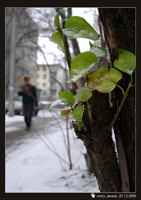 photo "Winter in Stalingrad" tags: landscape, misc., winter