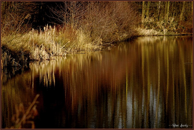 photo "500 meters of my house" tags: landscape, water