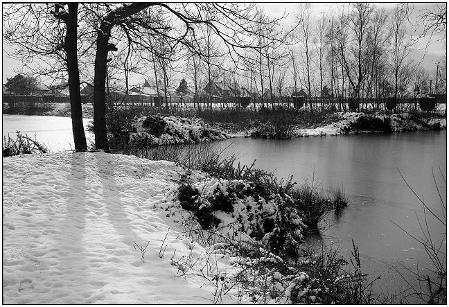 фото "Cold morning" метки: пейзаж, зима