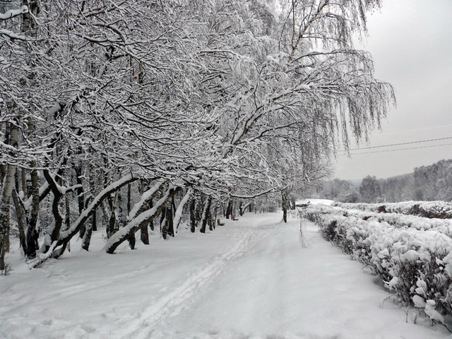 photo "***" tags: nature, landscape, winter