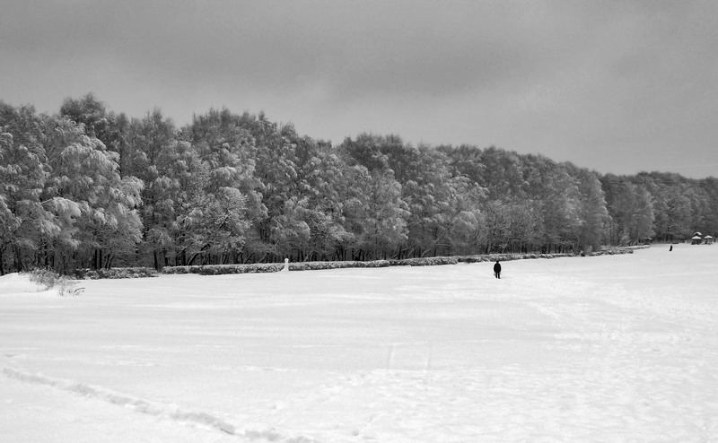 photo "***" tags: nature, landscape, winter