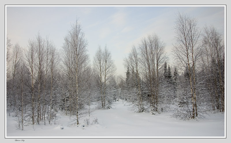 photo "***" tags: landscape, winter