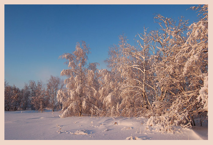 фото "Winter fairy-tale" метки: пейзаж, закат, зима