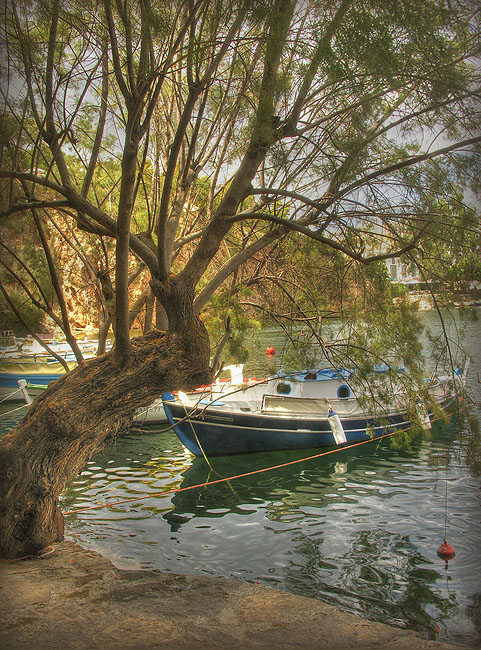 фото "Summer idyll" метки: пейзаж, 