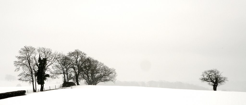 photo "Snow!" tags: landscape, winter