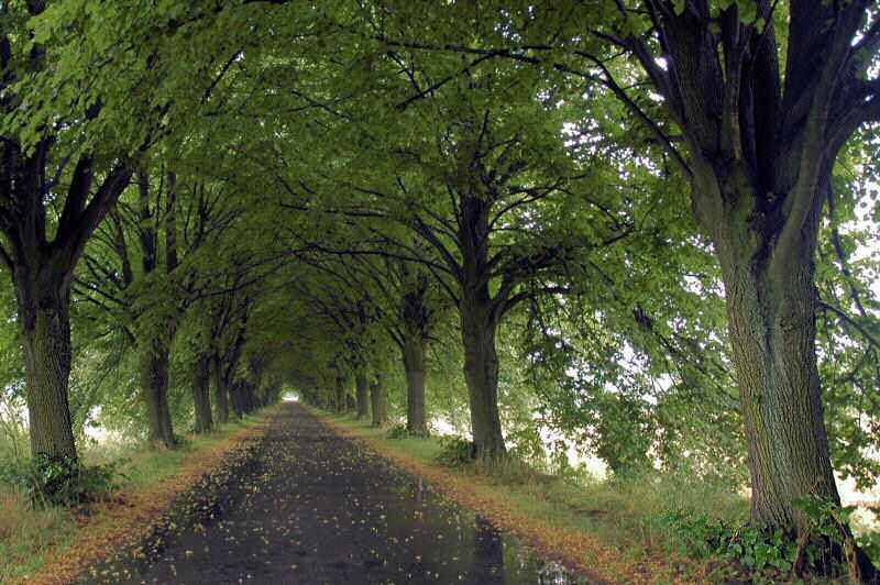 photo "***" tags: landscape, travel, Europe, autumn