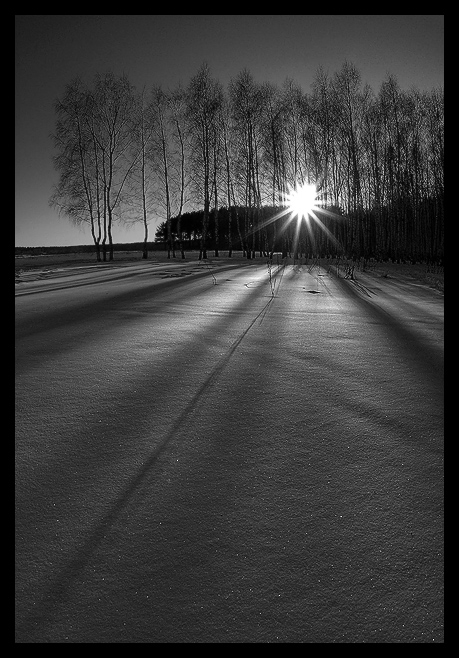 photo "About winter shadows..." tags: landscape, black&white, winter