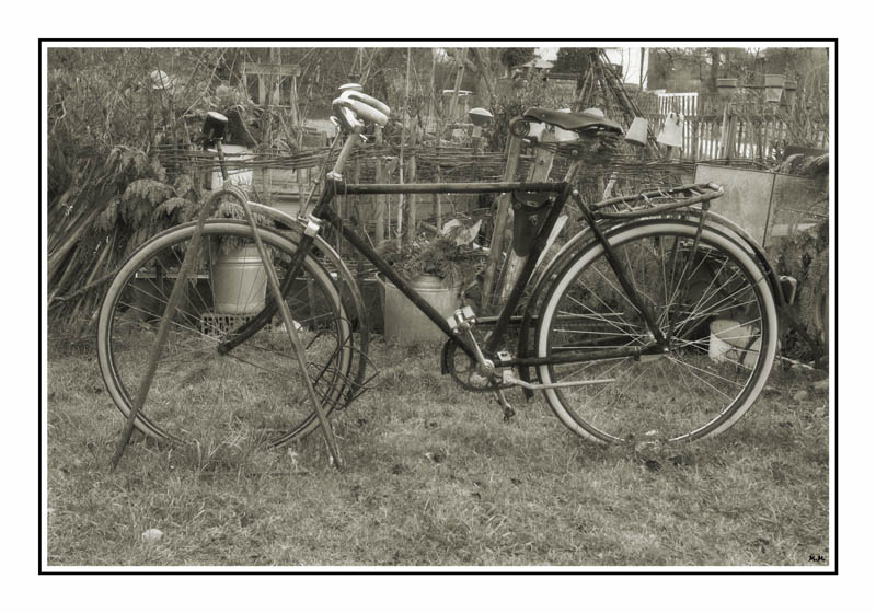 photo "The bike" tags: still life, 