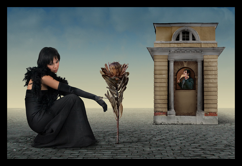 photo "Queen of Spades. Waiting for King" tags: montage, 