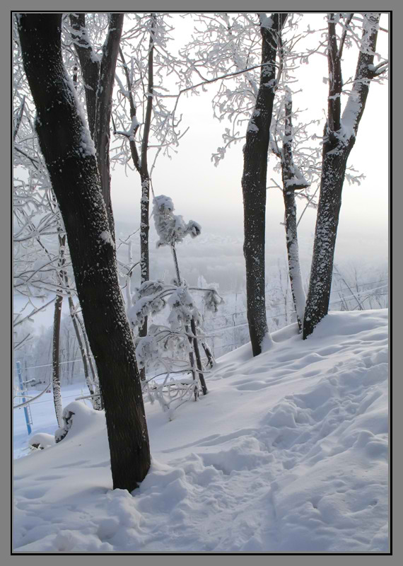 фото "Морозным днем..." метки: пейзаж, зима
