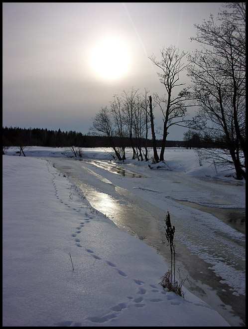 фото "Февральский мотив" метки: пейзаж, зима