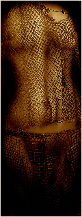 photo "..gold fish..." tags: glamour, nude, 