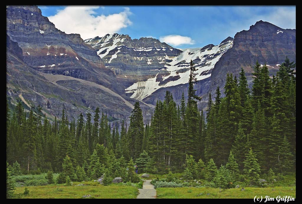 photo "The descent from All Soul's Prospect is complete" tags: landscape, forest, mountains