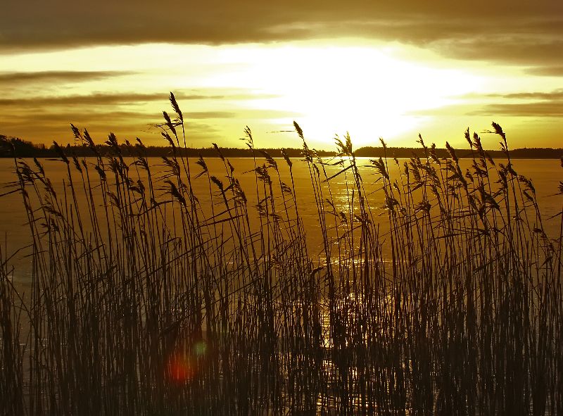 photo "Sunset on Tuusulanyarve" tags: landscape, sunset, winter