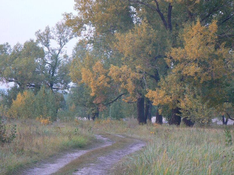 фото "Проселочная дорога" метки: пейзаж, осень