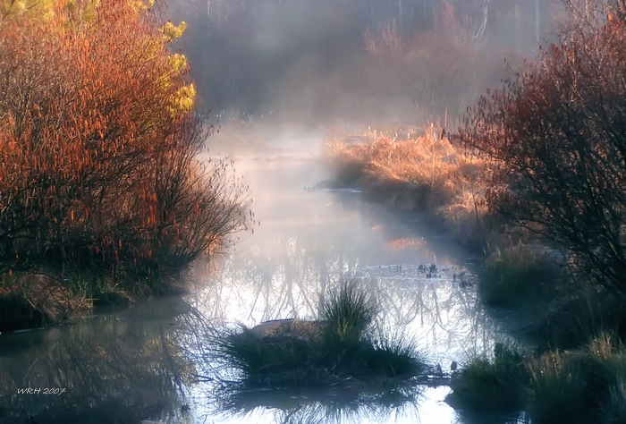 фото "Dawn's Early Light" метки: пейзаж, вода