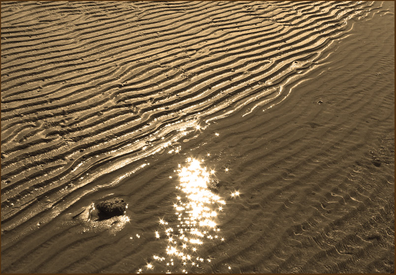 photo "River of gold" tags: landscape, water