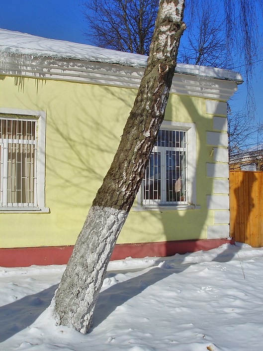 фото "Первые сосульки" метки: архитектура, пейзаж, зима