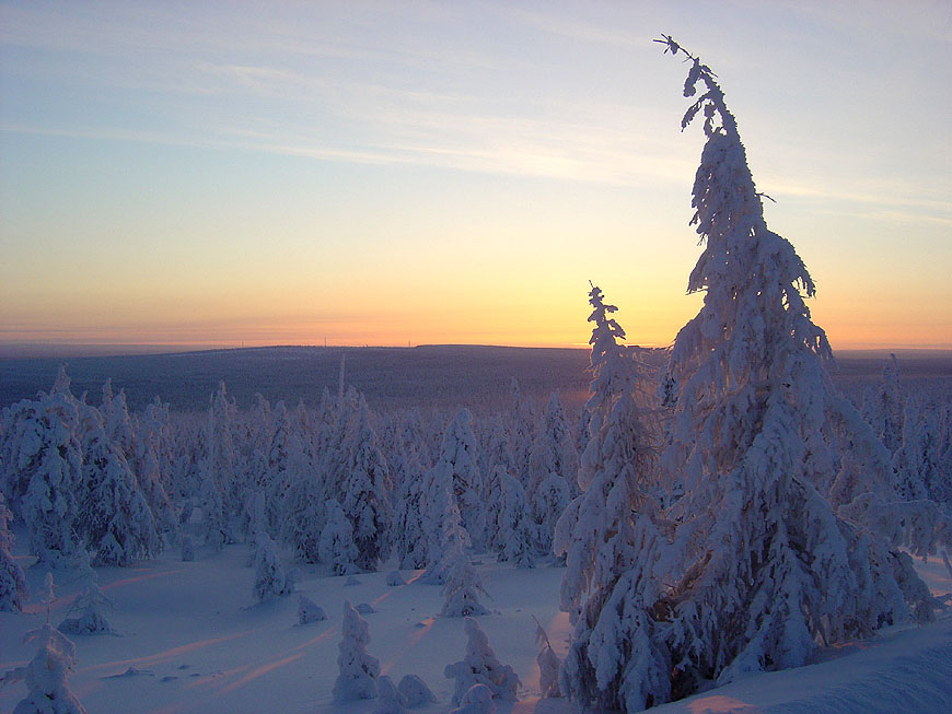 photo "***" tags: landscape, forest, winter