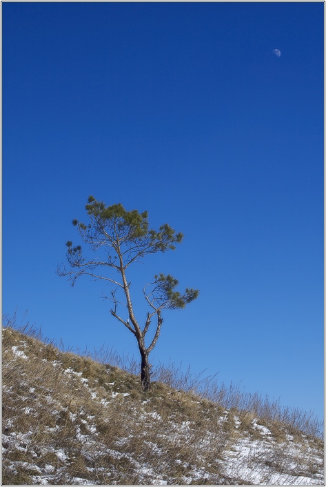 photo "***" tags: landscape, winter