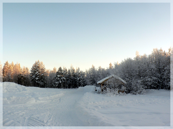 photo "***" tags: landscape, nature, forest