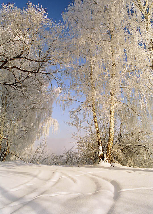 photo "Russian winter" tags: landscape, nature, winter