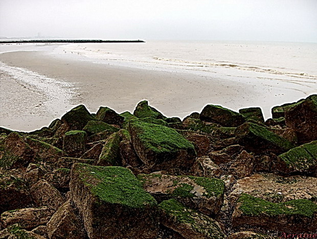 photo "Wild sea." tags: landscape, water, winter