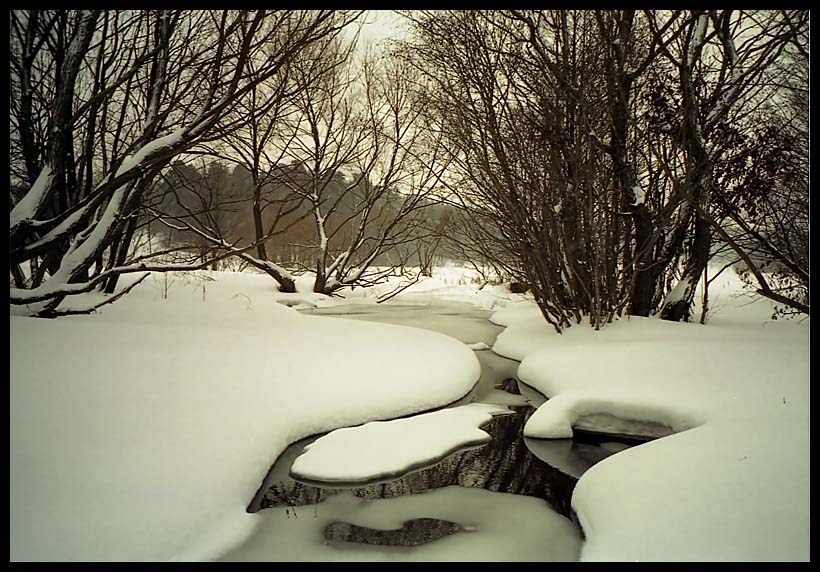 photo "Thaw" tags: landscape, winter