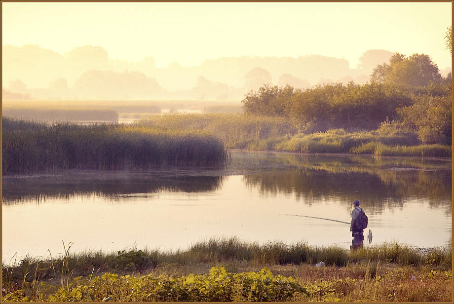 photo "About a crucian... =)" tags: landscape, water