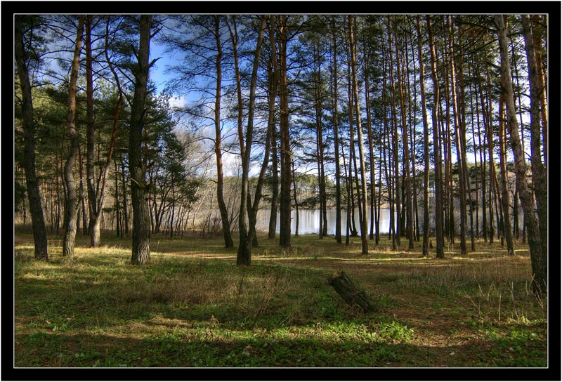 photo "Road to the lake" tags: landscape, forest, water