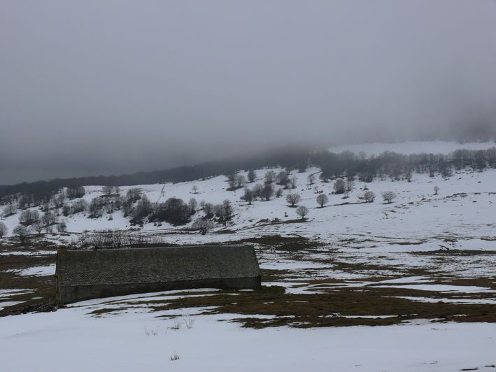 photo "Aubrac" tags: landscape, nature, winter