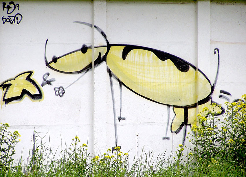 фото "Граффити/Му" метки: природа, юмор, домашние животные