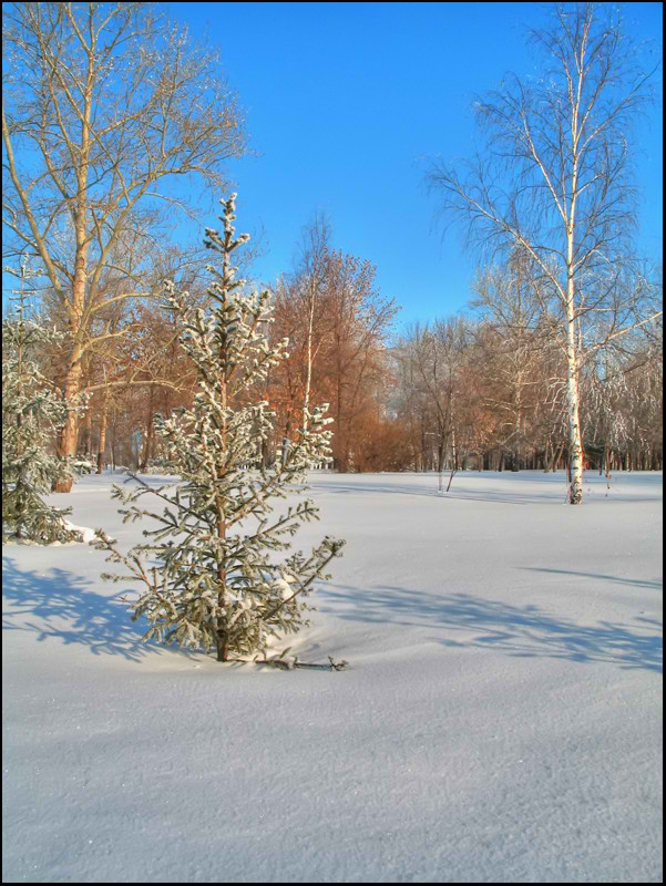 photo "***" tags: landscape, winter