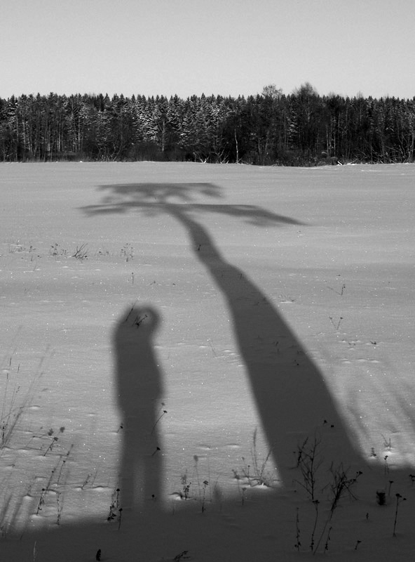 фото "Фотограф и дерево." метки: разное, 