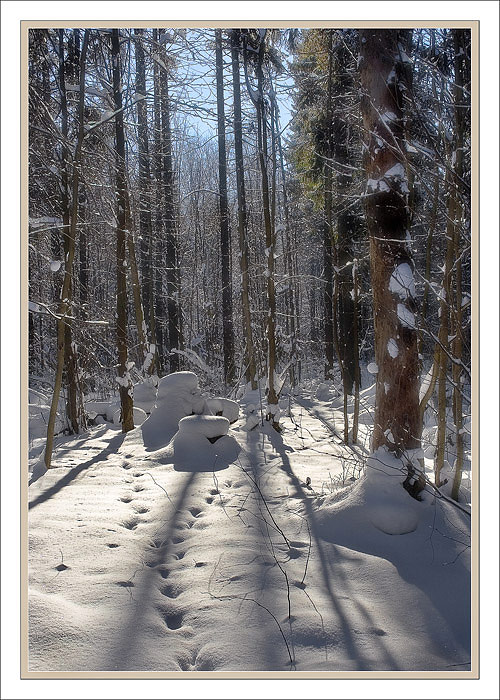 photo "By snow stones..." tags: landscape, forest, winter