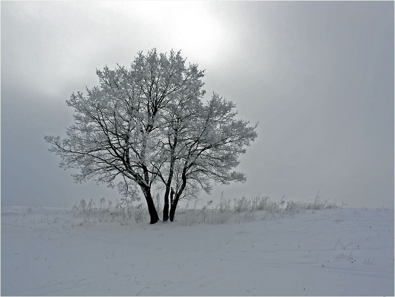 photo "***" tags: landscape, winter