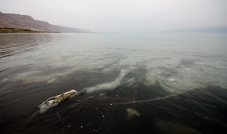 photo "White Sea" tags: landscape, water