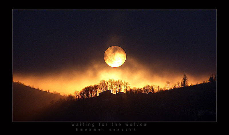 photo "waiting for the wolves" tags: landscape, sunset