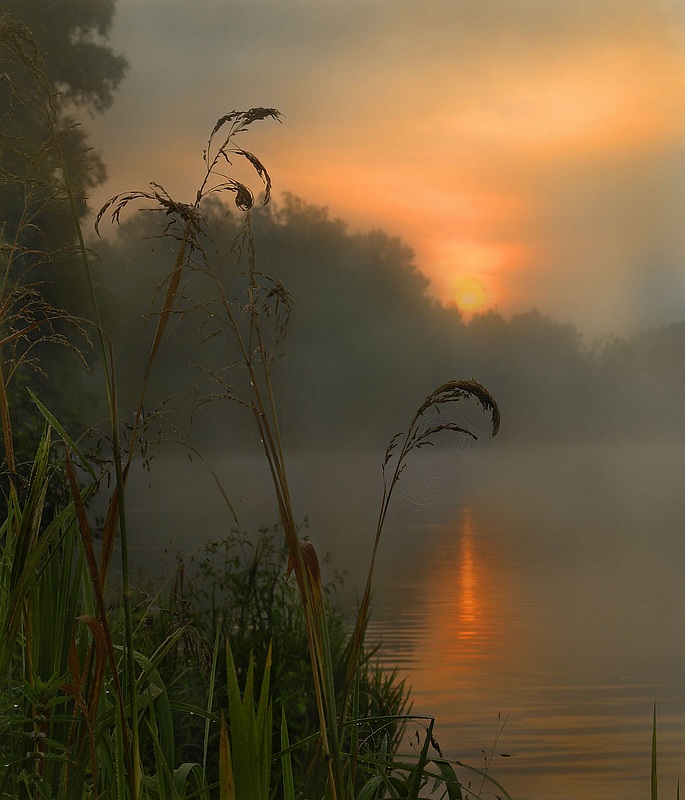 photo "There was a summer" tags: landscape, sunset, water