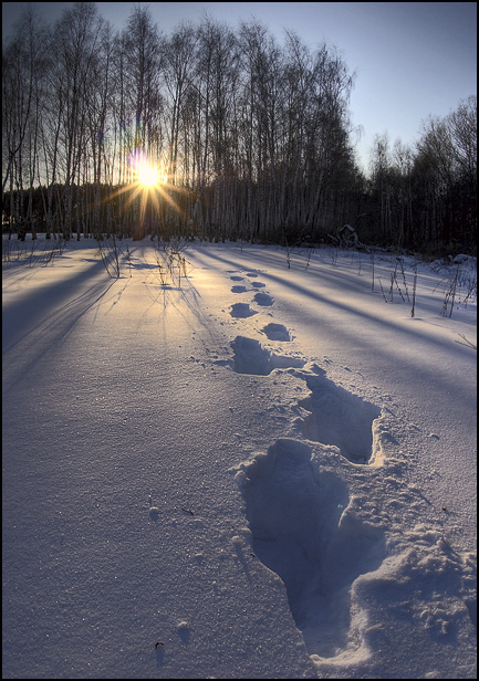 photo "To see off the sun..." tags: landscape, sunset, winter