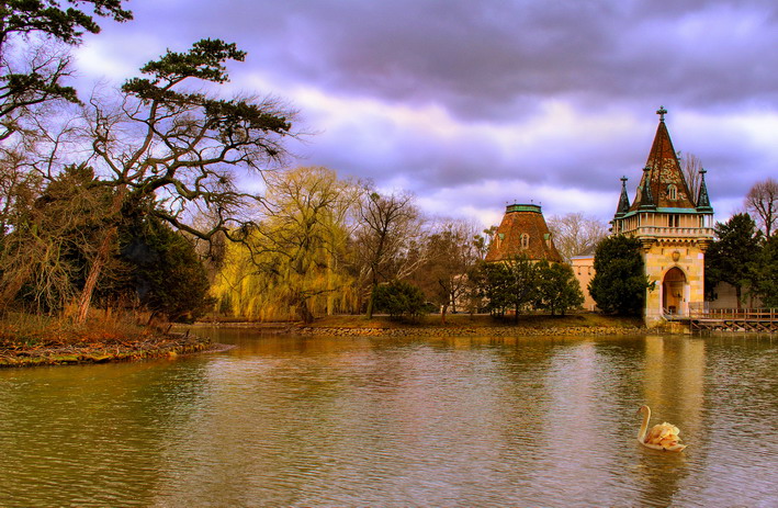 photo "Loneliness of swan" tags: landscape, nature, wild animals