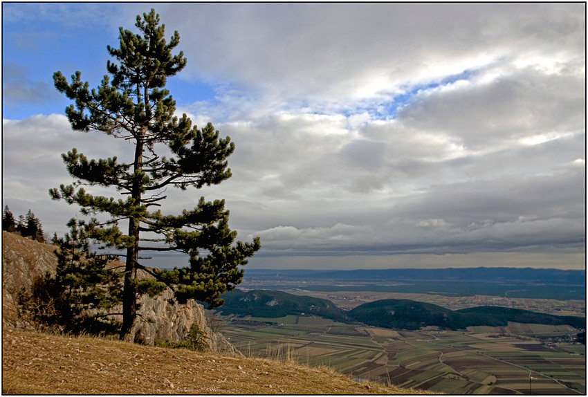 photo "At edge HoheWand" tags: landscape, clouds, mountains