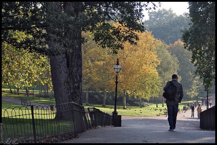 photo "Hyde Park / London" tags: landscape, travel, Europe, forest